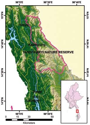 TANINTHARYI NATURE RESERVE Site ID 40 Locality Tanintharyi Region (Yebyu and Tavoy Townships) Coordinates N 14 36, E 98 17 Size (km²) 1,700 Altitude (m.
