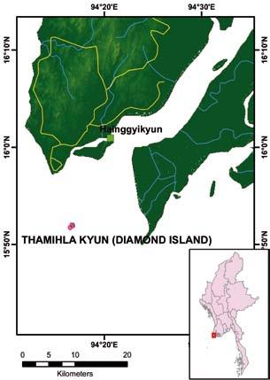 Department Demarcated Total Conservation Mixed Deciduous Forest (Lower), Evergreen Forest (Typical) Olive Ridley, Green Turtle, Logger Head Turtle, Leatherback,