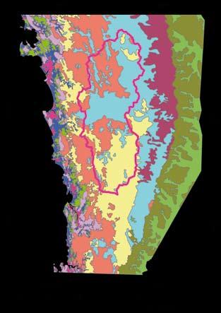 it was possible to identify the same land cover classes in all the satellite maps utilised for the analysis, with the exception for the 1974 map which do not include category 9 Plantation and