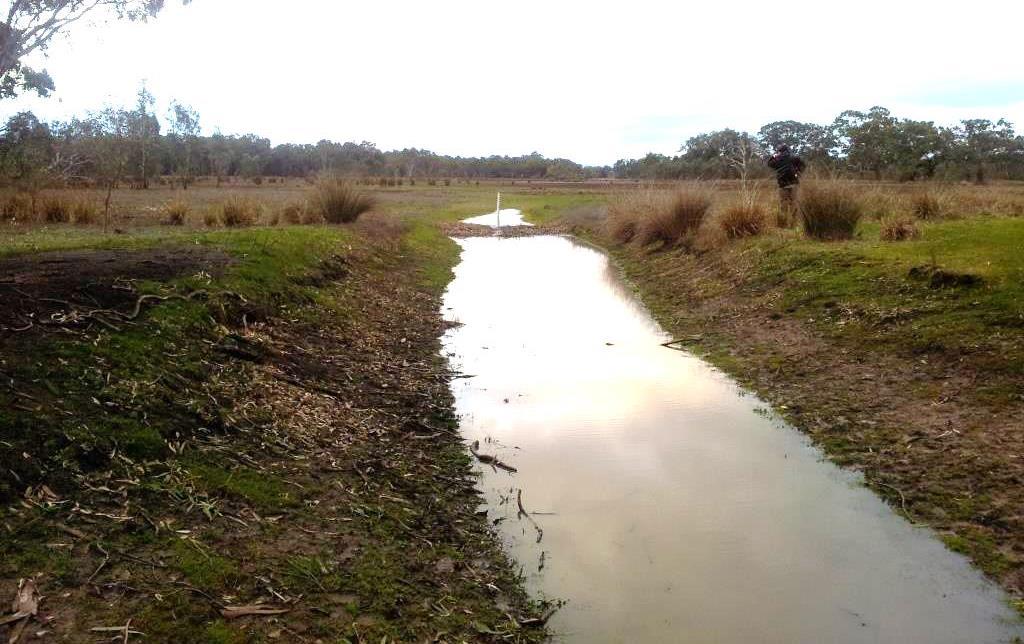 Interest in the restoration of Gooseneck Swamp began in the mid-1980s, when the property was acquired by the Victorian Government and eventually incorporated into the Grampians National Park.
