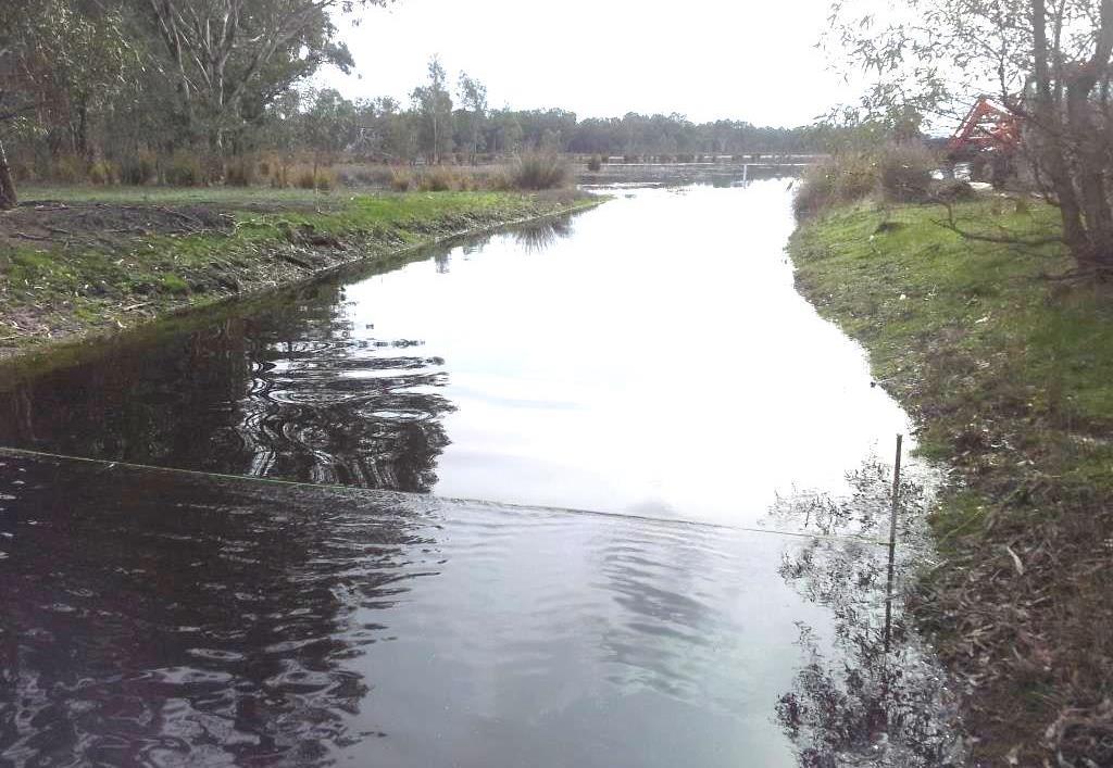 in partnership with the Glenelg Hopkins CMA, Parks Victoria and local landholders starting with a proposal to construct a low cost and low risk trial sandbag weir structure in the Gooseneck Swamp