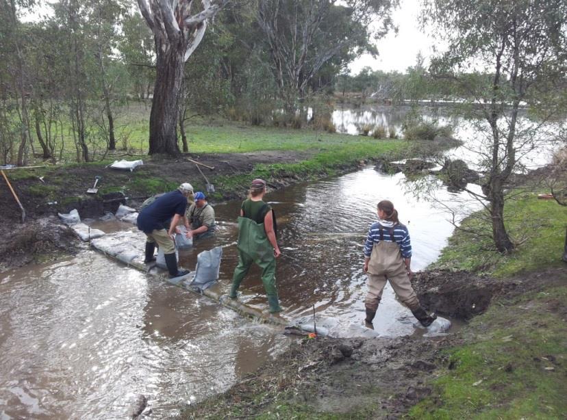 With the change in conditions, some improvisation was required to sufficiently reduce the drain flow rate to make working on the sandbag weir more feasible.