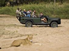 TRIP COST: $7980.00 Per Person Double Occupancy (IF YOU PAY FOR YOUR SAFARI BY CHECK YOU MAY DEDUCT $200.