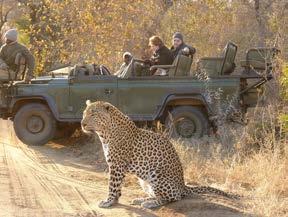 game drives, guests are welcomed by Ngala s warm, hospitable staff to a banquet in the elegant candlelit courtyard, or to an African feast around the blazing boma fire.