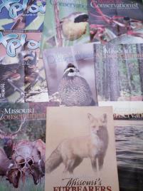 Local Literature Magazines and materials from the child s home state or region will make the