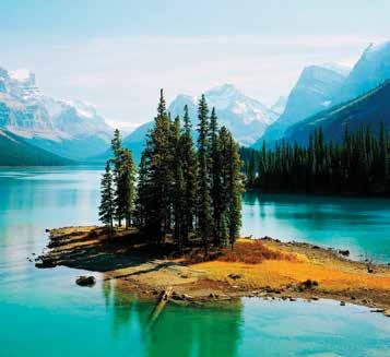 (Operates daily June 1 September 30) Wildlife Discovery Tour Duration 3 Hours 5:30pm 8:30pm $71 PER PERSON If you want to see wildlife when visiting the Rockies your best opportunity is in Jasper!