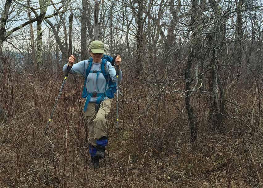 Previous page: On trail after a winter bushwhack. View of Devil s Path from Wittenberg Mountain. Below: Berry bushes are a major obstacle. Here I use my poles to push aside prickers.