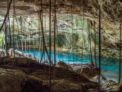 SCHEDULE 4:45 am Pick Up 9:00 am Breakfast 11:30 am Cenote 1:00 pm Drop Off YOUR GROUP SIZE - ONLY PRIVATE GROUPS 2-6 guests EXPERIENCE Beginner, amateur,