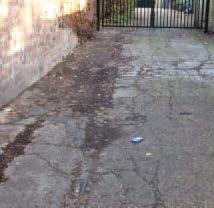 The paths and roadway areas have no more litter than you would expect at