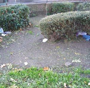 These grass and shrub beds have a high build-up of litter and leaves.