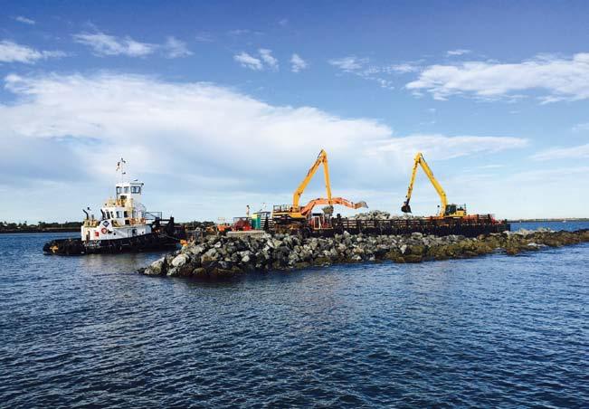 Logs and woodchip have begun arriving at Auckland Point, where they will be exported via Auckland Point 4 and 1.