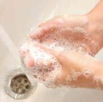 Everyone should wash their hands after going to the bathroom, before eating, after touching plants, after touching pets and after touching any body fluids.
