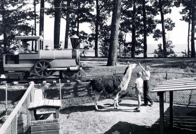 c. 1960 Fairyland Dreamland's new petting zoo is located behind the Bumper Cars, where the picnic groves are today.