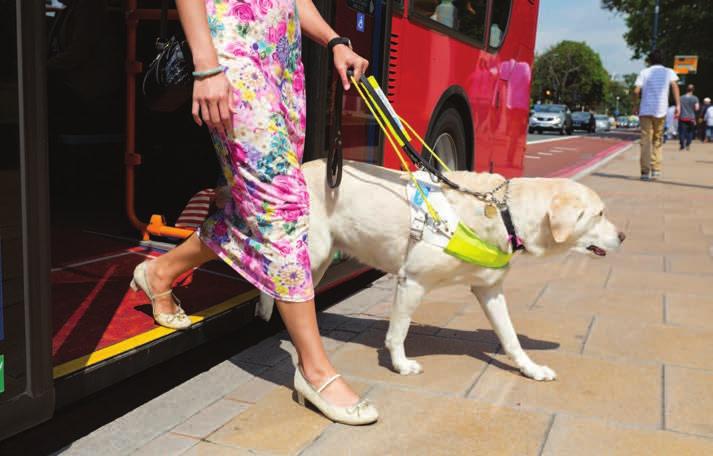 Introduction London has a wide range of accessible transport options that help everyone get around.