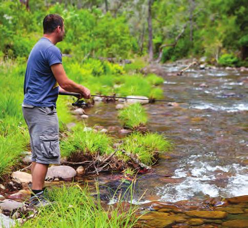 Picture Point provided some of the best camping we had ever experienced WHERE: The Alpine National Park stretches a long way, but to access the southern section you ll need