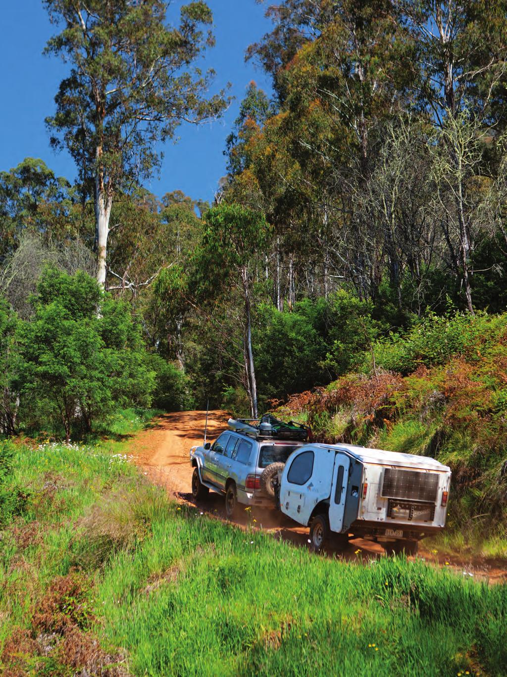 TRAVEL Southern Alpine NP, VIC With a