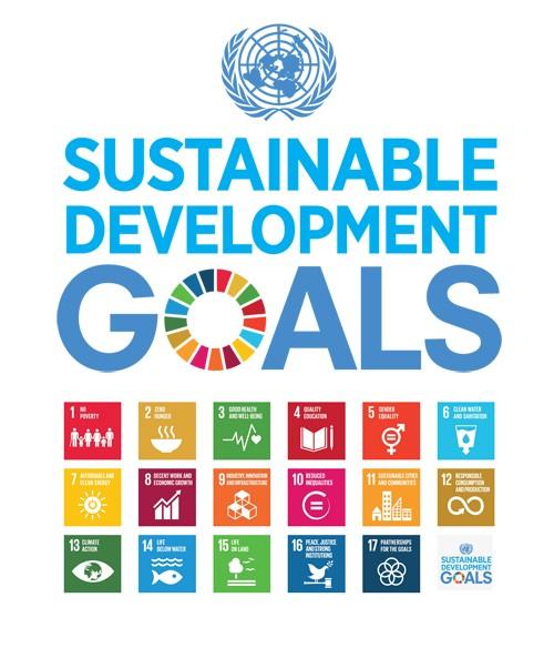 I. Initiatives of the PSS 12 Reference Documents in the Assessment of the Initial List of Philippine SDG Indicators PSDP