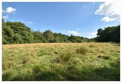 Lot 2 is located to the north west of Little Borough and is an extremely attractive area comprising three