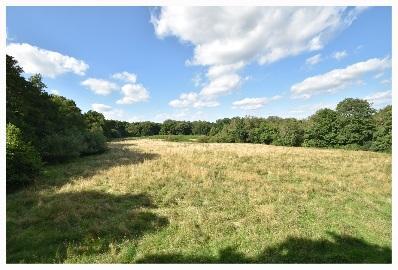 Lot 3 lies to the south west of Little Borough and is also an extremely attractive area comprising an area of