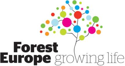 FOREST EUROPE ROUND TABLE ON TOPICS FOR THE 7 TH FOREST EUROPE MINISTERIAL CONFERENCE 4-5 November 2014, NH Hotel, Cuenca, Spain PRACTICAL INFORMATION Bellow you will find information on how to
