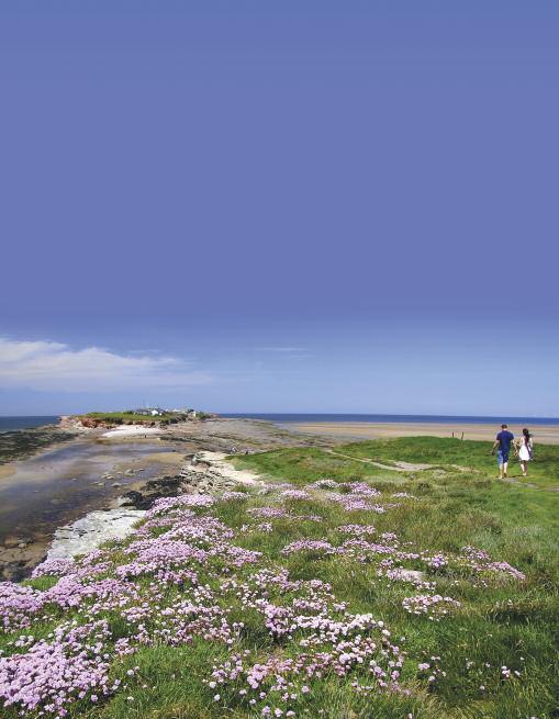 WoNDeRs of WIRRal WoNDeRs of WIRRal plan your stay Whether you re planning to come to Wirral to visit one of our fantastic attractions featured throughout this booklet or planning to go to one of the