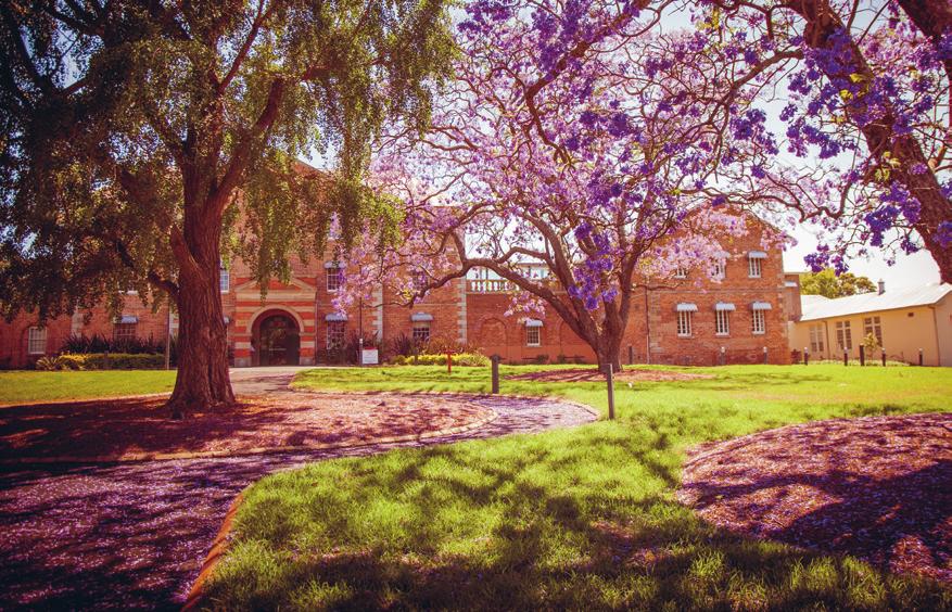 WELCOME TO WESTERN SYDNEY Ranked amongst the top 2% of universities worldwide by the Times Higher Education World University Rankings, Western Sydney University values academic excellence and