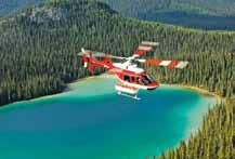 CABIN IN ALASKA FREE HELICOPTER