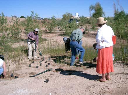 Project restored 400+ acres of wetlands and is considered a model for restoration in the Southwest.