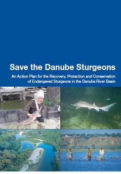 The conservation action plan for Danube sturgeon that was facilitated by WWF and adopted by the Bern Convention in 2007 has been adopted by the parties of the