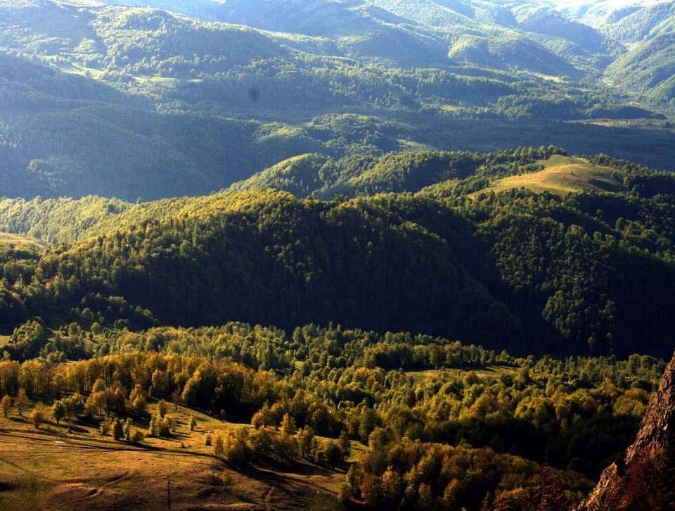 Green Carpathians The Carpathian Mountains are Europe s last great wilderness area a bastion for large carnivores, with over half of the
