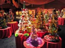 Portland Festival Sponsorship Opportunities Safeway Providence Festival of Trees What is the Festival of Trees?