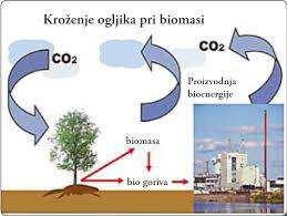 7 LESNA BIOMASA Biomasa je po Energetskem zakonu (Ur. l. RS, št.