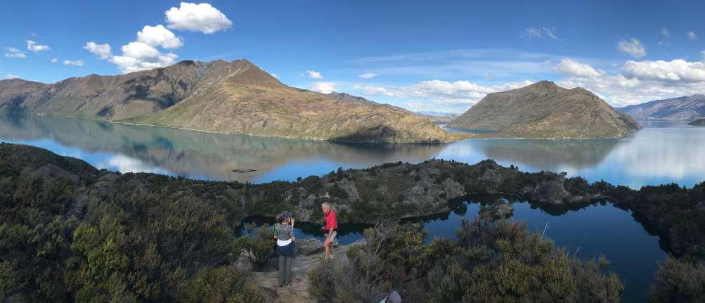 Tour Information New Zealand Naturalist Guide: Coates Leader/ Driver Guide: Vehicles: Coaster bus and Ferry. Martin Curtis Tom Grove Accommodation: Hotels and lodges.