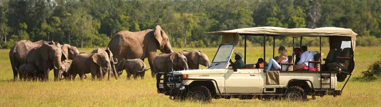sors of Los Gatos Make this Your Year to Safari in Style 2016 is the perfect year to experience Africa at its