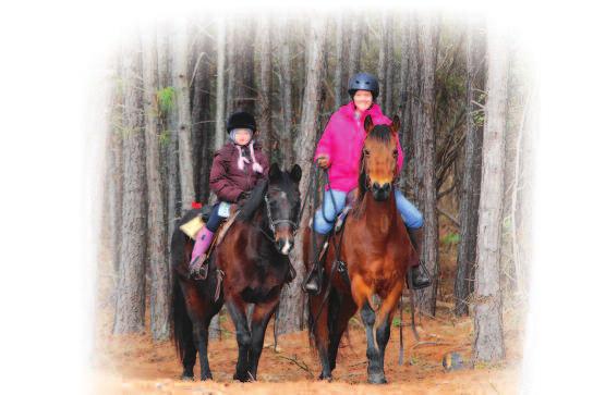 Trail Use and Overuse Trail Etiquette Just how popular are Virginia s public horse trails?