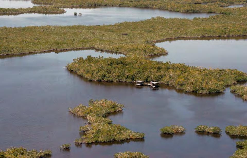 Everglades Restoration Largest and most complex restoration initiative ever undertaken in the history of the planet.