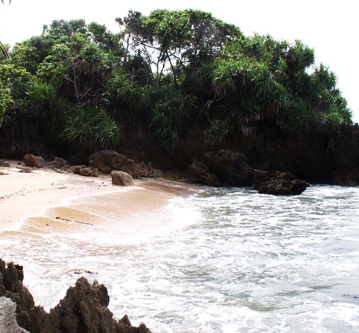 with three secluded beaches and an impressive natural blowhole at its