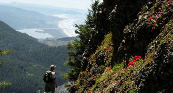 OREGON North Coast Land Conservancy RAINFOREST RESERVE CAMPAIGN To permanently protect 3,300 acres of forest on the North Oregon coast preserving an entire coastal watershed from the
