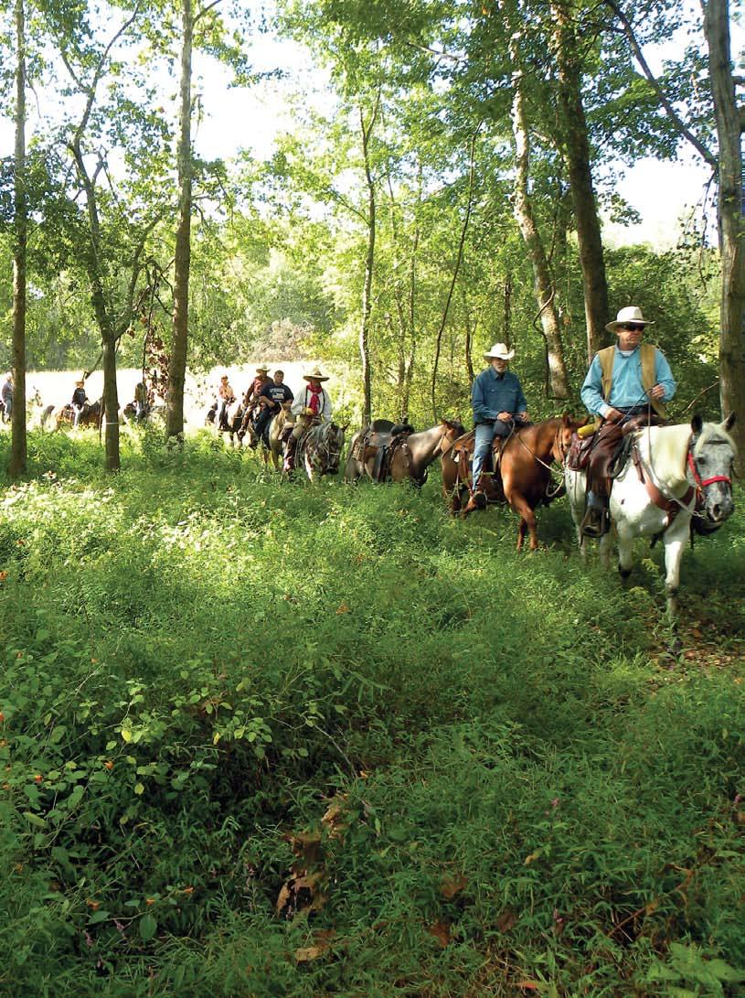 The 32nd annual Sheltowee Trail Ride was held September 25 to October 1, 2011 at the Land Between the Lakes (LBL) National Forest in western Kentucky.