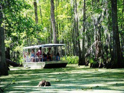 The Honey Island Swamp is home to alligators, raccoons, owls, wild boars, nutria, snakes, turtles, bald eagles, black bears and many birds. Lunch at the French Market.