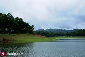 Thekkady - Key Attraction The Periyar Wildlife Sanctuary Lying close to the plantations, in the rich jungles of Periyar in Thekkady is one of the worlds most fascinating natural wildlife reserves -