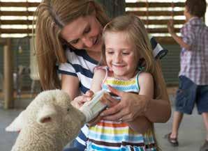ACTIVITIES» Cuddle a koala» Feed the kangaroos» Traditional Billy Tea and damper