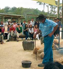 in the fun as you watch the skills of the master shearers in the Sheep Shearing