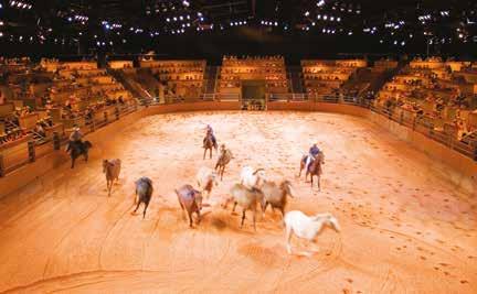 The Australian Outback Spectacular arena has over 1000 seats» Serves over 1000 meals in eight