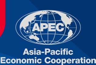 APEC CHILE 2019: SUSTAINABLE, INCLUSIVE AND COMPREHENSIVE GROWTH Regional Economic Integration FTAAP: pathways Trade on Goods and services Investments Intelectual Property Connectivity Structural