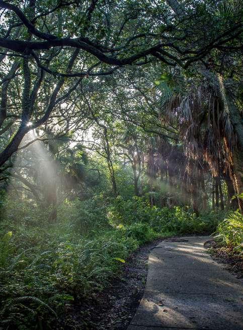 Implementation Approach The Southeast Florida Regional Greenways & Trails Plan represents thousands of miles of facilities that require implementation by a number of different entities for the vision
