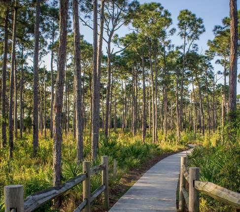Acknowledgements This inaugural Southeast Florida Regional Greenways and Trails Plan has been the product of extensive time and effort on behalf of many individuals and organizations.