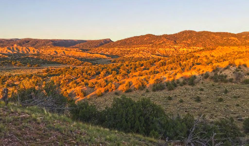 SHELBY RANCH The Shelby Ranch is a great opportunity to acquire 702 +/- acres of northern New Mexico property