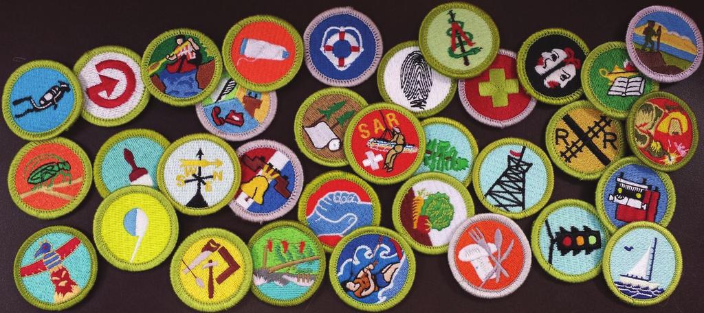 MERIT BADGE PROGRAM Summer camp has traditionally been viewed as a convenient place where Scouts can earn several merit badges in a short amount of time.