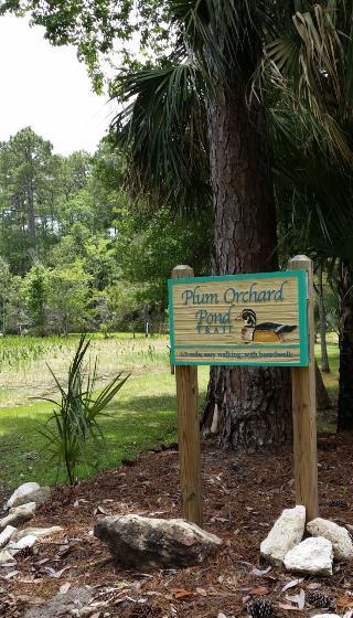 PLUM ORCHARD POND Behind the Visitor Center 1/3 mile loop with boardwalks,